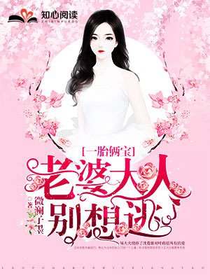 叶南弦沈蔓歌小说